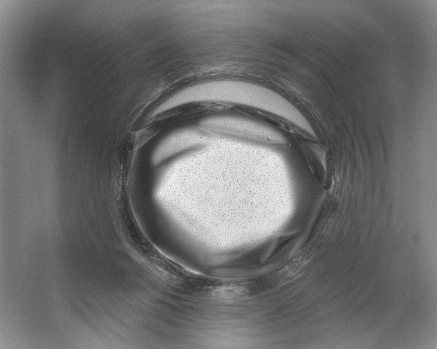 X0000064050168200602171720