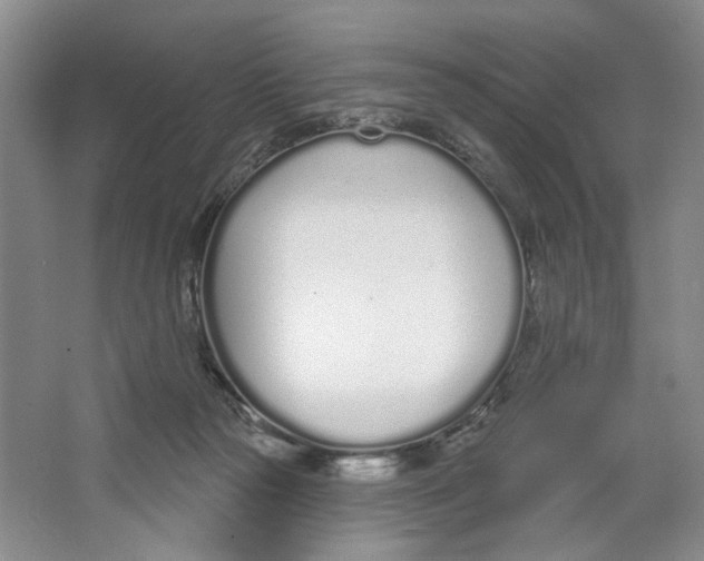X0000064050169200602171720