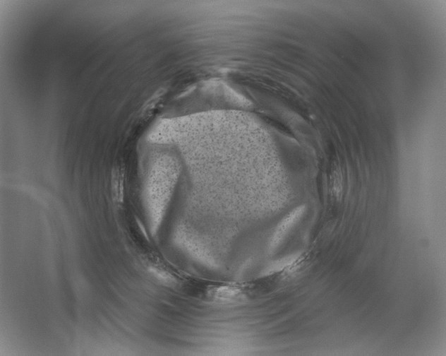 X0000064050180200602171720