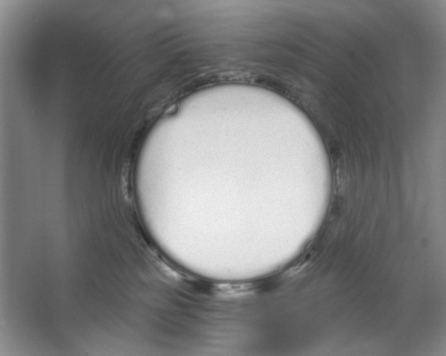 X0000064050185200602171720