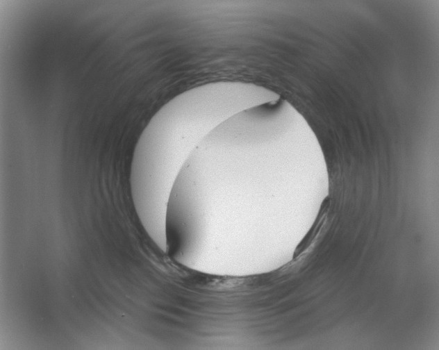 X0000064050186200602171720