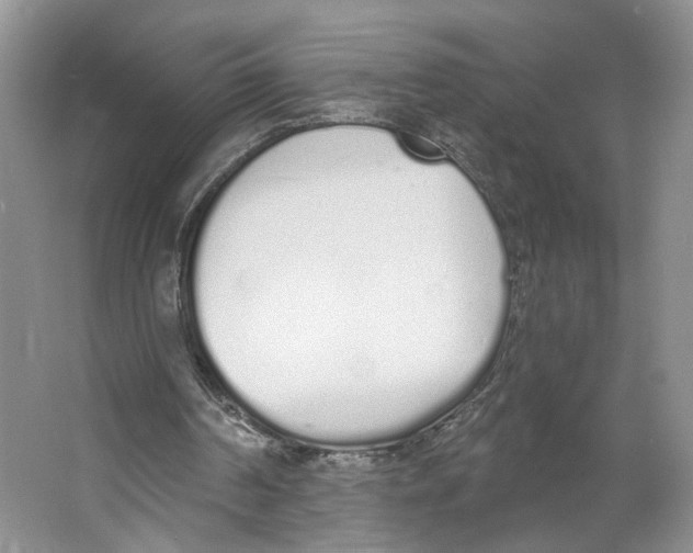 X0000064050194200602171719