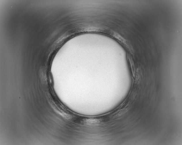X0000064050203200602171719