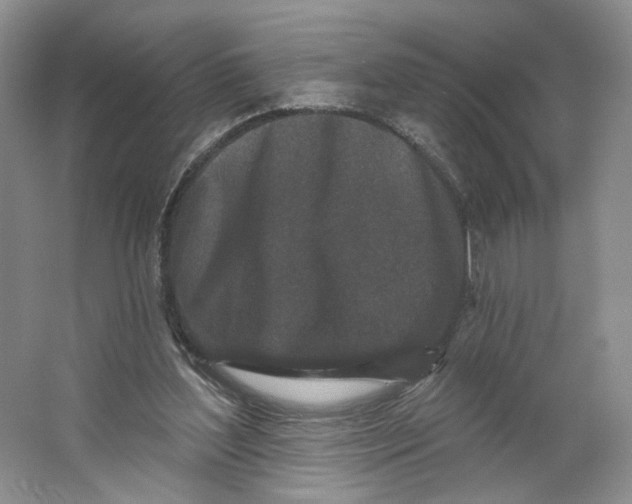 X0000064050204200602171719