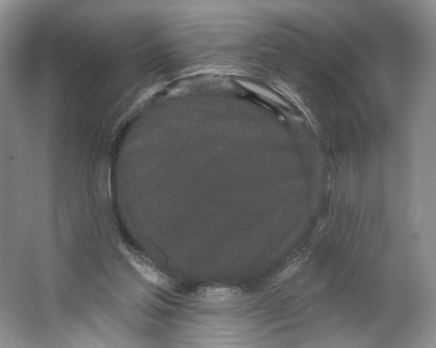X0000064050205200602171719