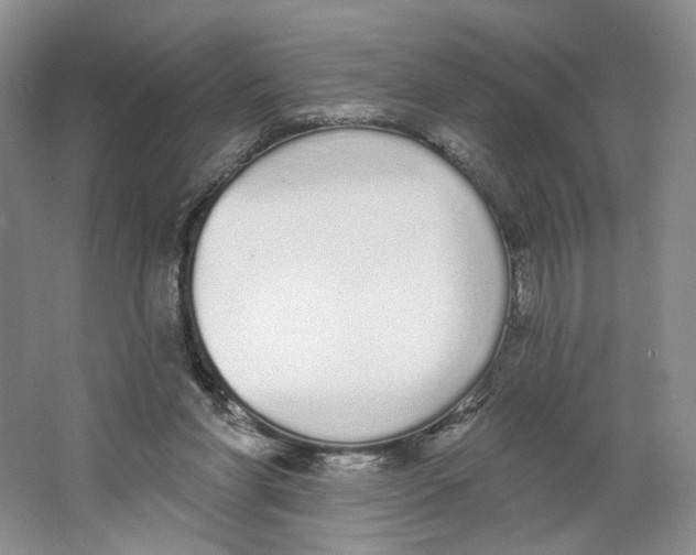 X0000064050206200602171719