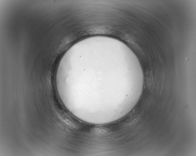 X0000064050207200602171719
