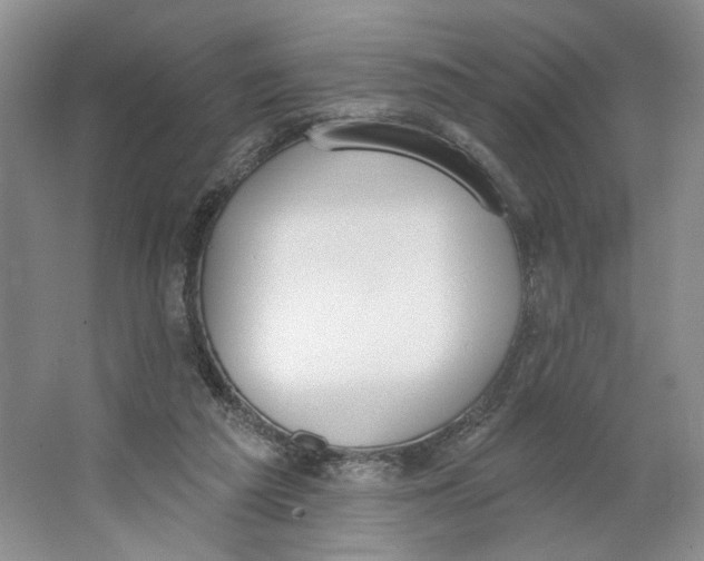 X0000064050209200602171719