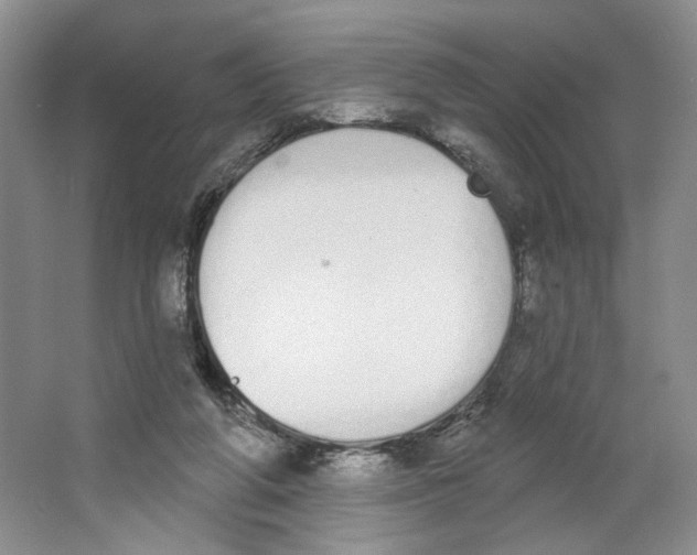 X0000064050210200602171719