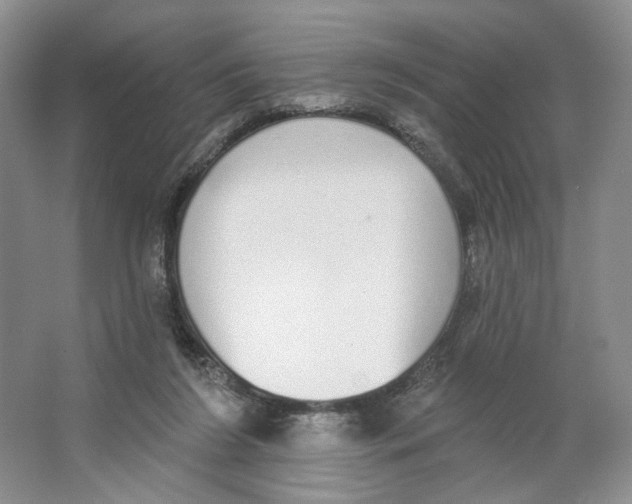 X0000064050212200602171719