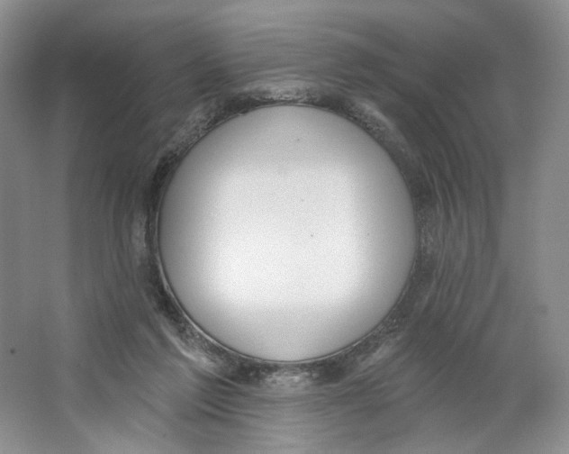 X0000064050213200602171719