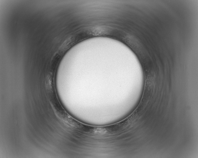X0000064050214200602171719
