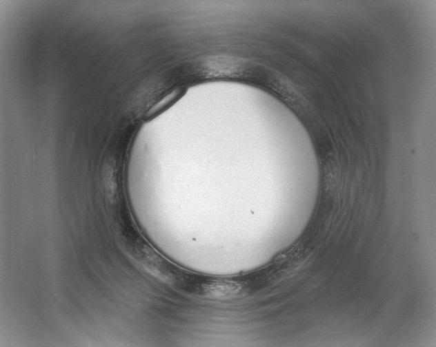 X0000064050215200602171719