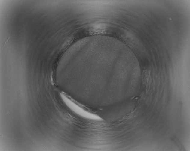 X0000064050224200602171719