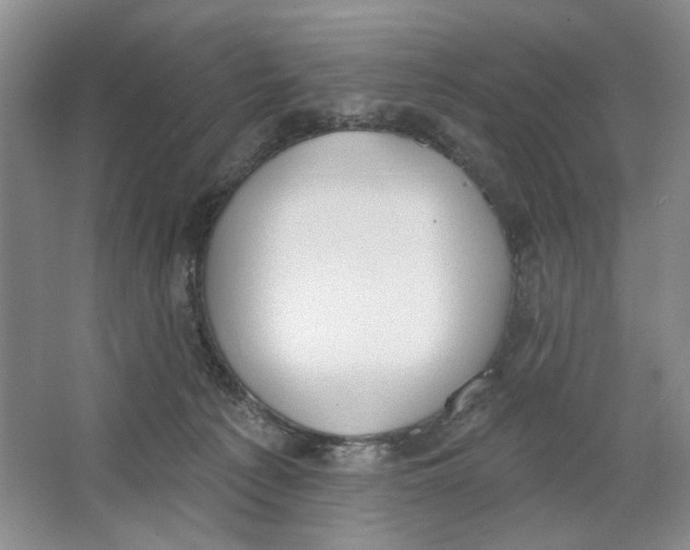 X0000064050225200602171719