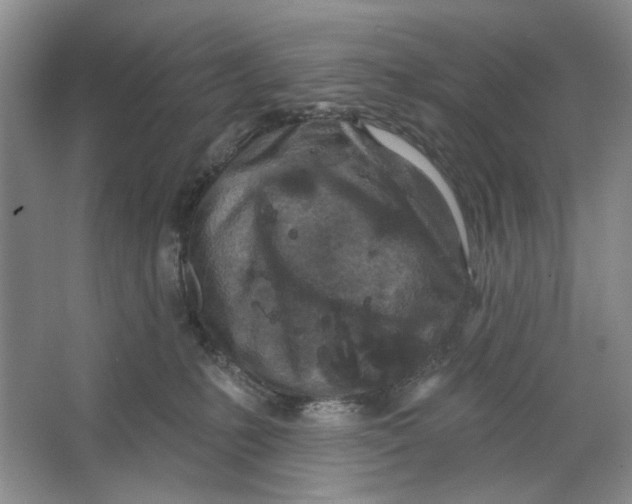 X0000064050231200602171719