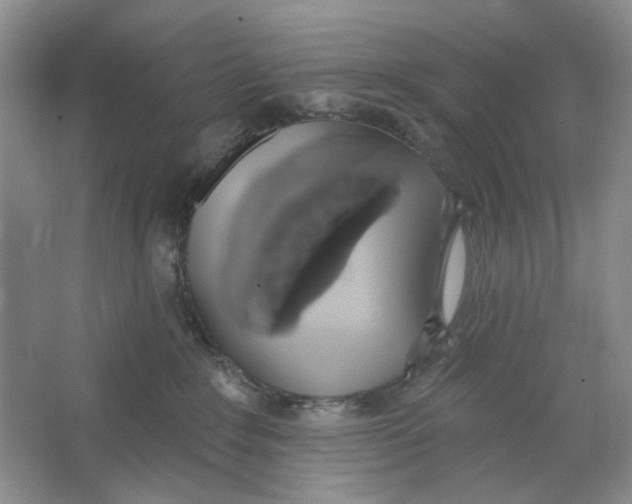X0000064050235200602171719