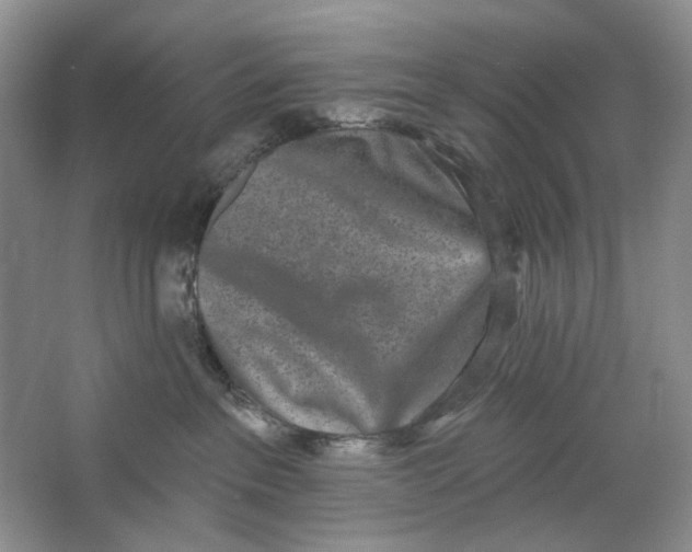 X0000064050237200602171719