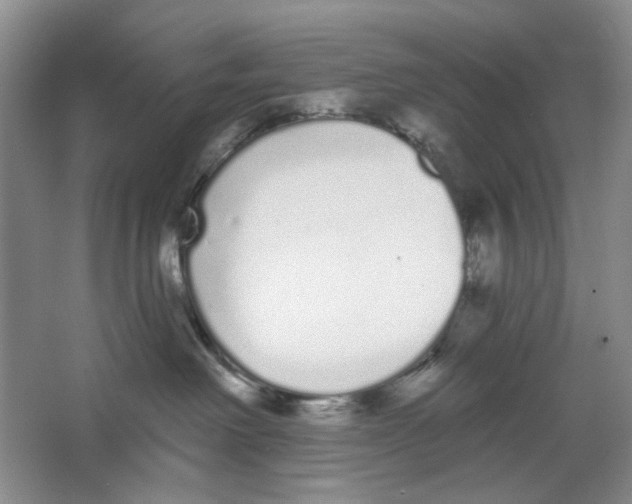 X0000064050238200602171719