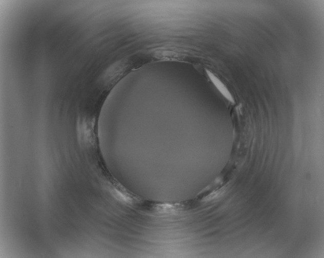 X0000064050239200602171719