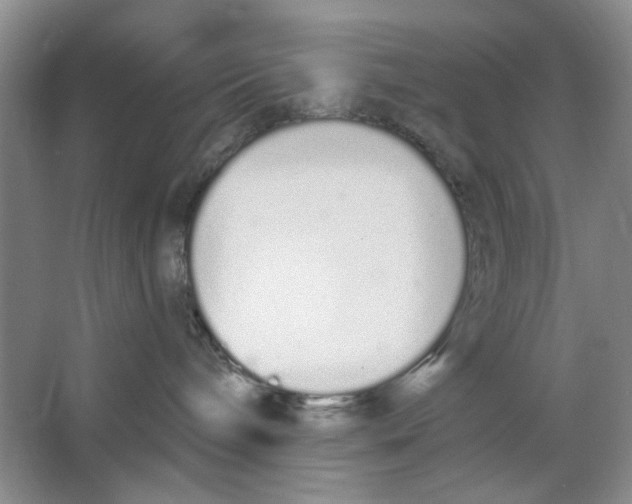 X0000064050240200602171719