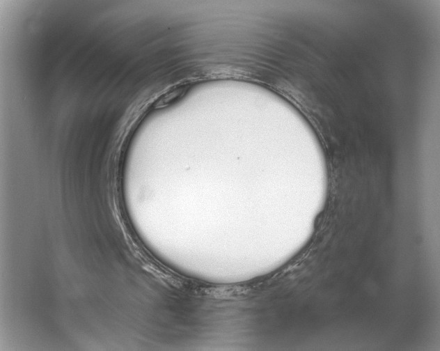 X0000064050241200602171718