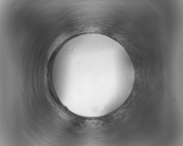 X0000064050242200602171718