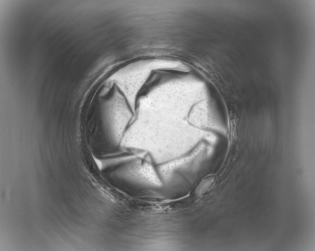 X0000064050243200602171718