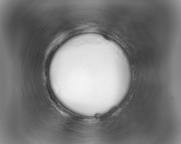 X0000064050245200602171718