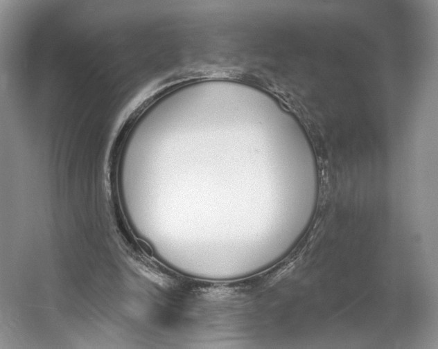 X0000064050246200602171718