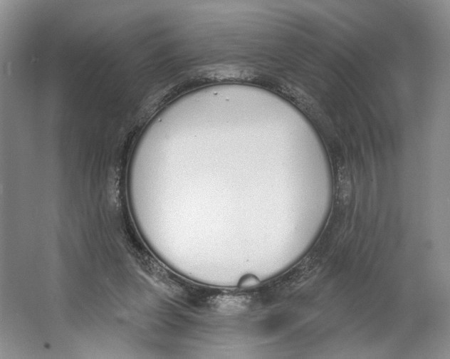 X0000064050255200602171718