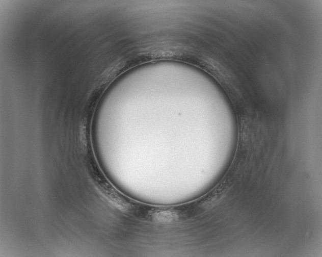 X0000064050258200602171718