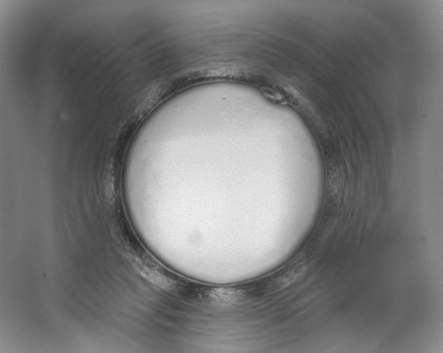 X0000064050261200602171718