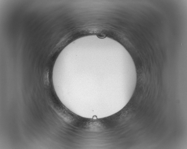 X0000064050262200602171718