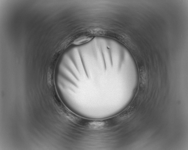 X0000064050266200602171718
