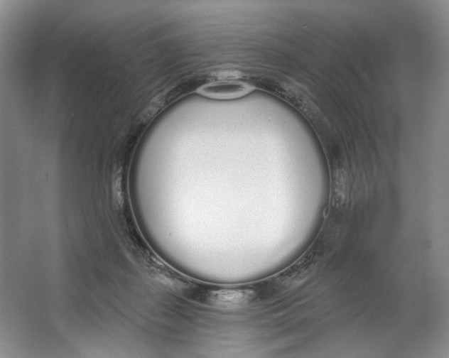 X0000064050267200602171718