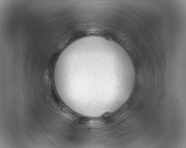 X0000064050270200602171718