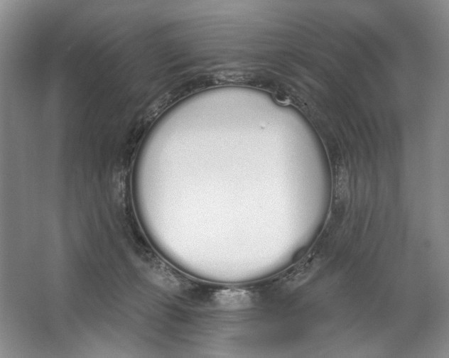 X0000064050271200602171718