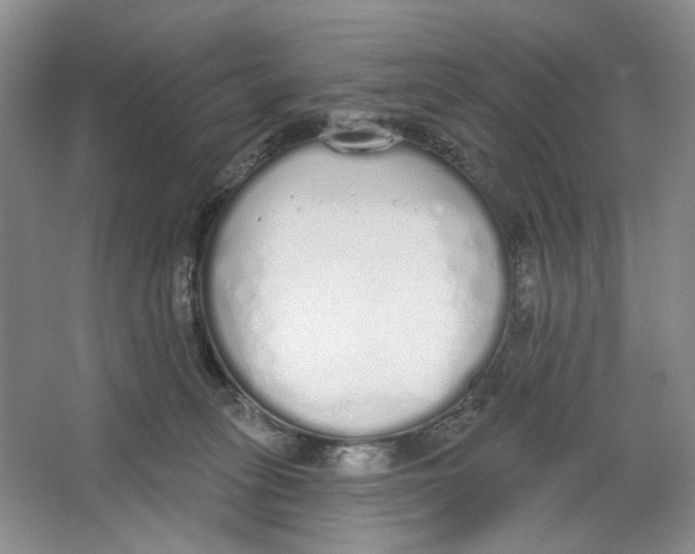 X0000064050275200602171718