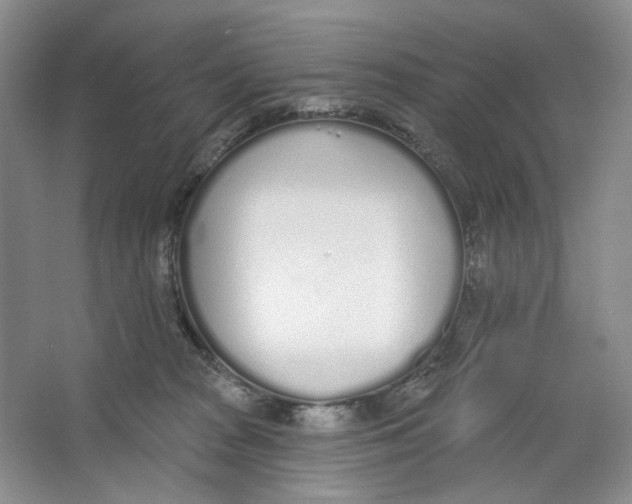 X0000064050277200602171718