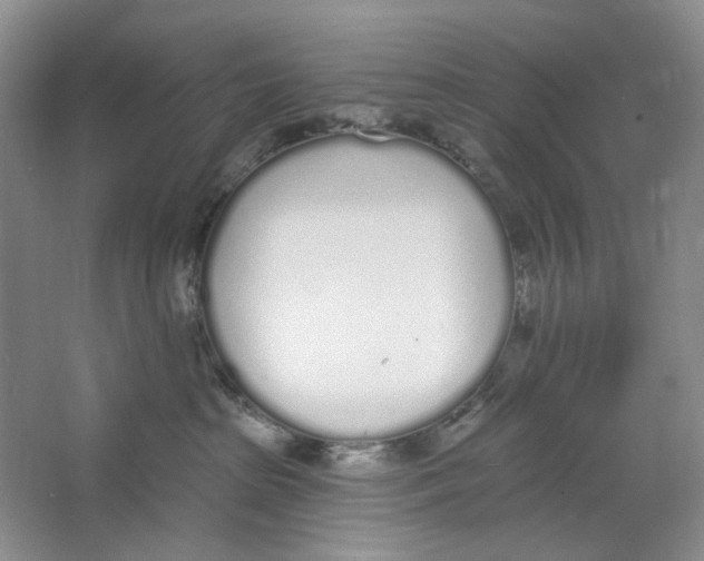 X0000064050285200602171718