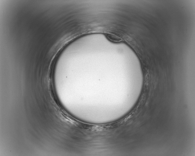 X0000064050290200602171718
