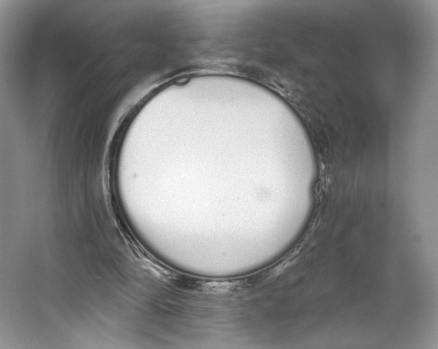 X0000064050294200602171718