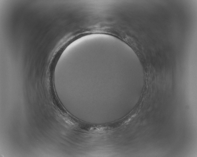 X0000064050295200602171718