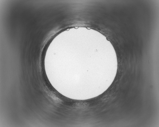 X0000064050296200602171718