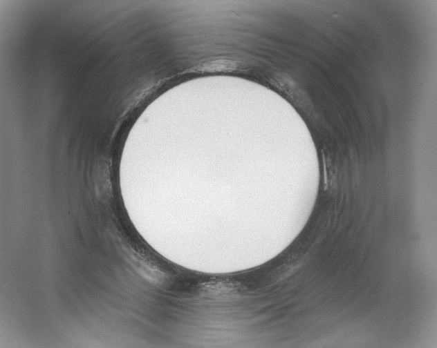 X0000064050300200602171717