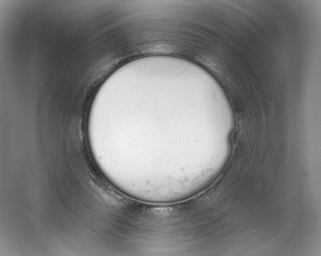 X0000064050302200602171717