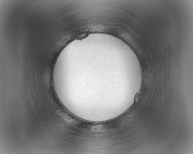 X0000064050309200602171717