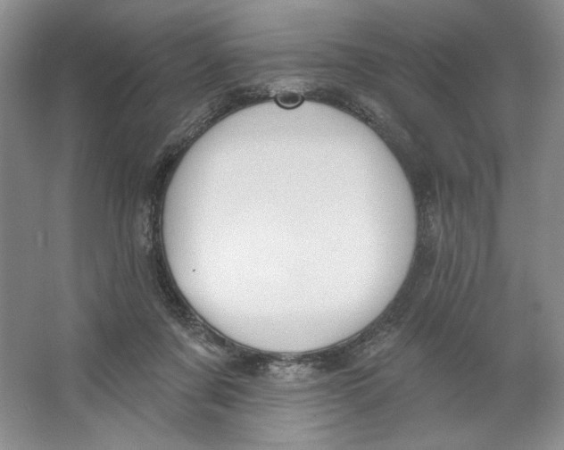 X0000064050311200602171717