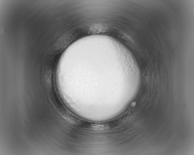 X0000064050315200602171717